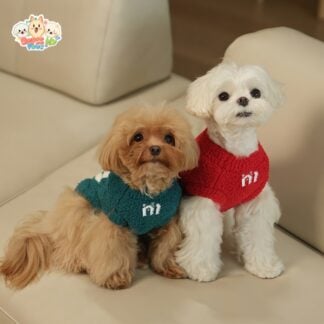 Pull en tricot pour chien