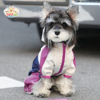 All-Weather Adventure Dog Raincoat