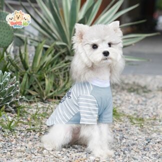 Urban Chic Striped Dog T-Shirt